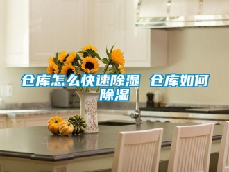 企業(yè)新聞倉庫怎么快速除濕 倉庫如何除濕