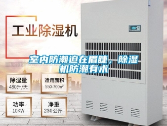 知識百科室內(nèi)防潮迫在眉睫，除濕機(jī)防潮有術(shù)