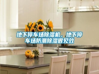 企業(yè)新聞地下停車場除濕機(jī)，地下停車場防潮除濕很見效