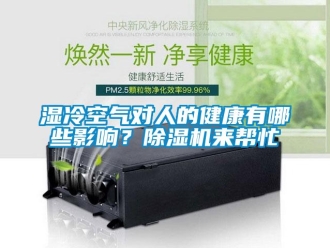 知識百科濕冷空氣對人的健康有哪些影響？除濕機(jī)來幫忙
