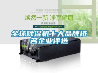 企業(yè)新聞全球除濕機(jī)十大品牌排名企業(yè)評選
