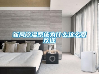 知識(shí)百科新風(fēng)除濕系統(tǒng)為什么這么受歡迎