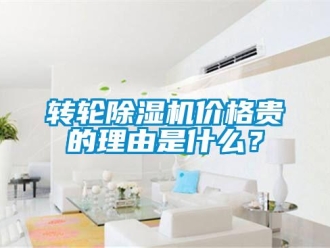 知識(shí)百科轉(zhuǎn)輪除濕機(jī)價(jià)格貴的理由是什么？