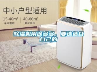 企業(yè)新聞除濕機(jī)用途多多，要選適合自己的
