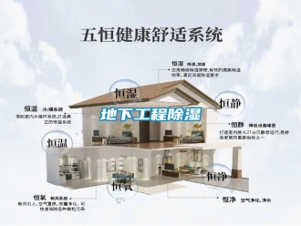 企業(yè)新聞地下工程除濕