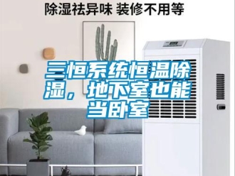 知識(shí)百科三恒系統(tǒng)恒溫除濕，地下室也能當(dāng)臥室