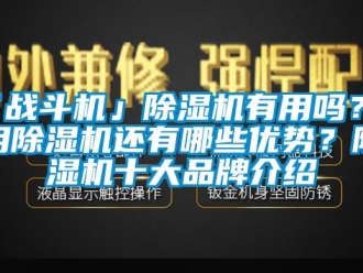 企業(yè)新聞「戰(zhàn)斗機(jī)」除濕機(jī)有用嗎？使用除濕機(jī)還有哪些優(yōu)勢？除濕機(jī)十大品牌介紹