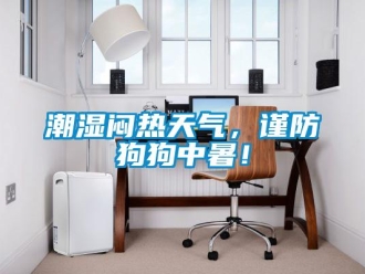 企業(yè)新聞潮濕悶熱天氣，謹(jǐn)防狗狗中暑！