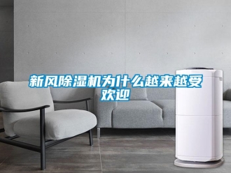 知識(shí)百科新風(fēng)除濕機(jī)為什么越來(lái)越受歡迎