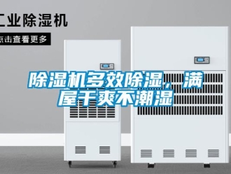 企業(yè)新聞除濕機(jī)多效除濕，滿屋干爽不潮濕