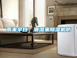 知識百科雨來傘擋，潮濕來除濕機(jī)防