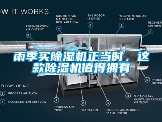 知識(shí)百科雨季買除濕機(jī)正當(dāng)時(shí)，這款除濕機(jī)值得擁有