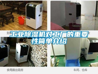 企業(yè)新聞工業(yè)除濕機(jī)對工廠的重要性簡單介紹