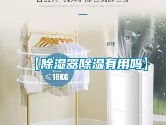 企業(yè)新聞【除濕器除濕有用嗎】