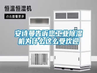 企業(yè)新聞安詩(shī)曼告訴您工業(yè)除濕機(jī)為什么這么受歡迎