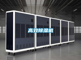 企業(yè)新聞高效除濕機