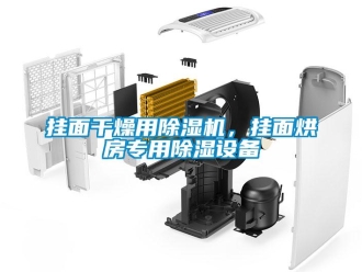 企業(yè)新聞掛面干燥用除濕機，掛面烘房專用除濕設(shè)備
