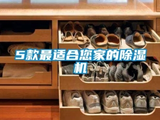 企業(yè)新聞5款最適合您家的除濕機