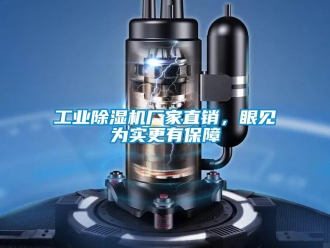 企業(yè)新聞工業(yè)除濕機(jī)廠家直銷，眼見為實(shí)更有保障