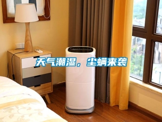 知識(shí)百科天氣潮濕，塵螨來(lái)襲