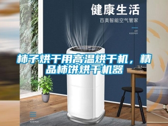 知識(shí)百科柿子烘干用高溫烘干機(jī)，精品柿餅烘干機(jī)器