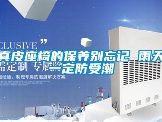 知識(shí)百科真皮座椅的保養(yǎng)別忘記 雨天一定防受潮