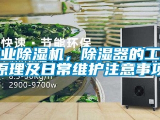 企業(yè)新聞工業(yè)除濕機，除濕器的工作原理及日常維護注意事項