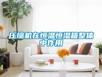 知識(shí)百科壓縮機(jī)在恒溫恒濕箱整體中作用