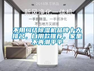 企業(yè)新聞不用糾結除濕機品牌十大排名，自用款推薦，家里不再潮乎乎
