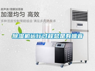 企業(yè)新聞除濕機(jī)運(yùn)行過程總是有噪音
