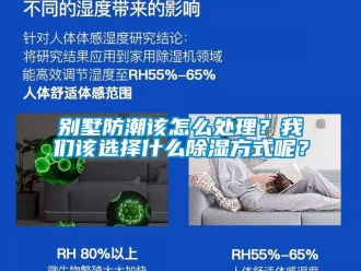 企業(yè)新聞別墅防潮該怎么處理？我們?cè)撨x擇什么除濕方式呢？