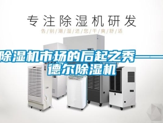 企業(yè)新聞除濕機市場的后起之秀——德爾除濕機