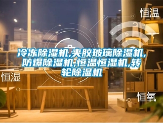 企業(yè)新聞冷凍除濕機(jī),夾膠玻璃除濕機(jī),防爆除濕機(jī),恒溫恒濕機(jī),轉(zhuǎn)輪除濕機(jī)