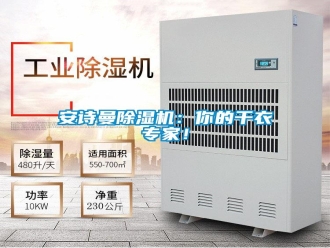 企業(yè)新聞安詩曼除濕機(jī)：你的干衣專家！