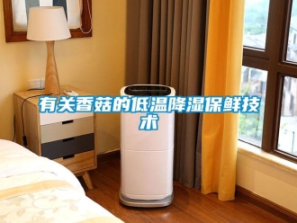 知識百科有關香菇的低溫降濕保鮮技術