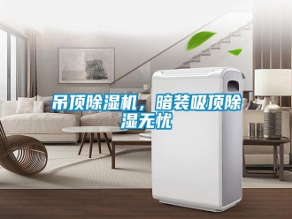 企業(yè)新聞吊頂除濕機(jī)，暗裝吸頂除濕無憂