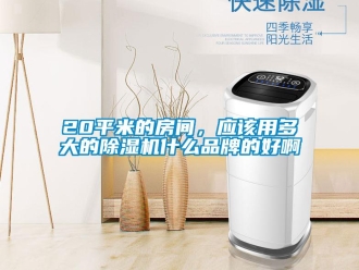 企業(yè)新聞20平米的房間，應(yīng)該用多大的除濕機(jī)什么品牌的好啊