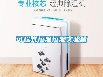 知識百科可程式恒溫恒濕實(shí)驗(yàn)箱