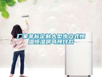 知識百科廠家非標(biāo)定制大型步入式恒溫恒濕房可預(yù)付款
