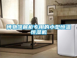 知識百科博物館展柜專用的小型恒溫恒濕機(jī)