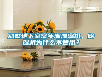 企業(yè)新聞別墅地下室常年潮濕滲水，除濕機為什么不管用？