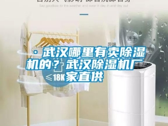 企業(yè)新聞·武漢哪里有賣(mài)除濕機(jī)的？武漢除濕機(jī)廠(chǎng)家直供