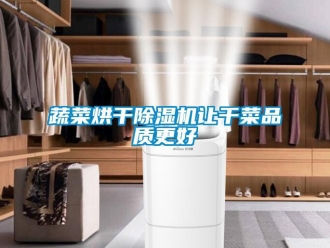知識百科蔬菜烘干除濕機讓干菜品質更好