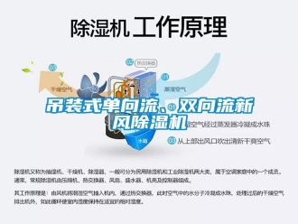企業(yè)新聞吊裝式單向流、雙向流新風(fēng)除濕機