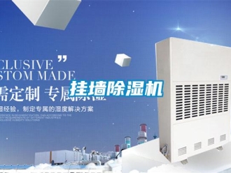 企業(yè)新聞掛墻除濕機