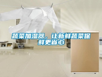知識百科蔬菜加濕器，讓新鮮蔬菜保鮮更省心