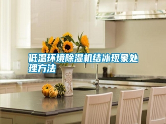 企業(yè)新聞低溫環(huán)境除濕機結(jié)冰現(xiàn)象處理方法