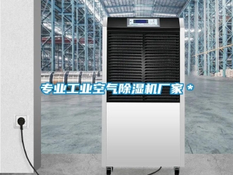 企業(yè)新聞專(zhuān)業(yè)工業(yè)空氣除濕機(jī)廠(chǎng)家＊