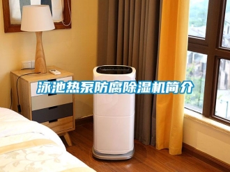 知識百科泳池?zé)岜梅栏凉駲C簡介