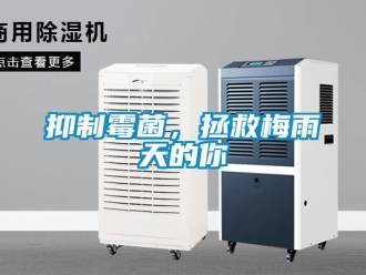 知識(shí)百科抑制霉菌，拯救梅雨天的你